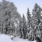 Haus Schneekopf By Interhome *