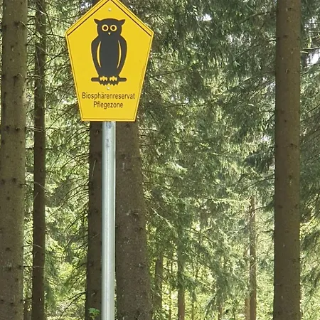 Haus Schneekopf By Interhome Holiday home *