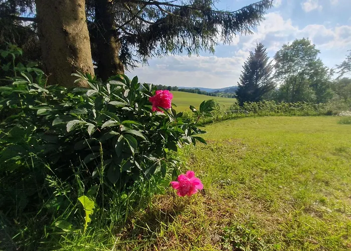 Haus Schneekopf By Interhome Holiday home *