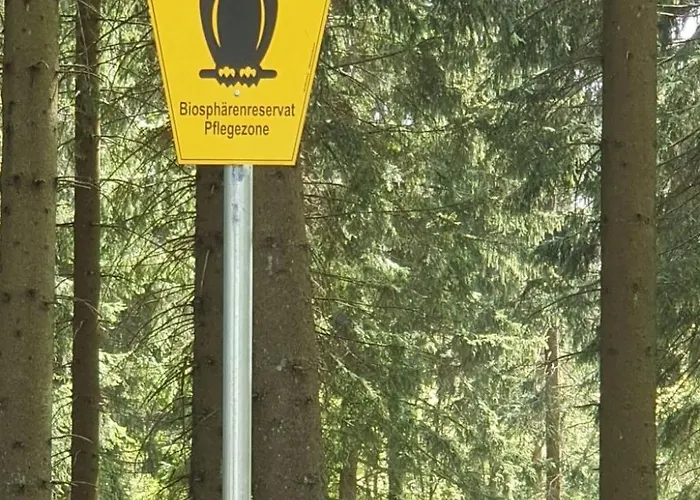 Haus Schneekopf By Interhome Holiday home *