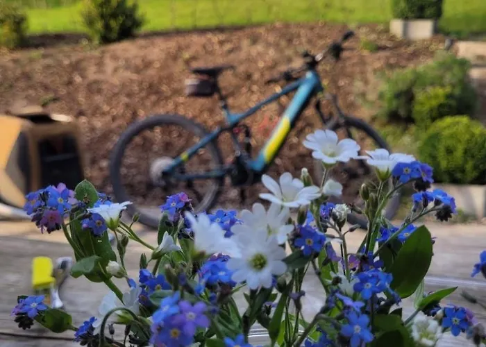 Haus Schneekopf By Interhome Holiday home