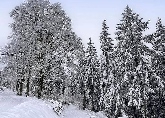 Haus Schneekopf By Interhome *