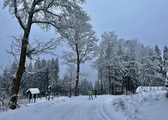 Haus Schneekopf By Interhome Holiday home Suhl